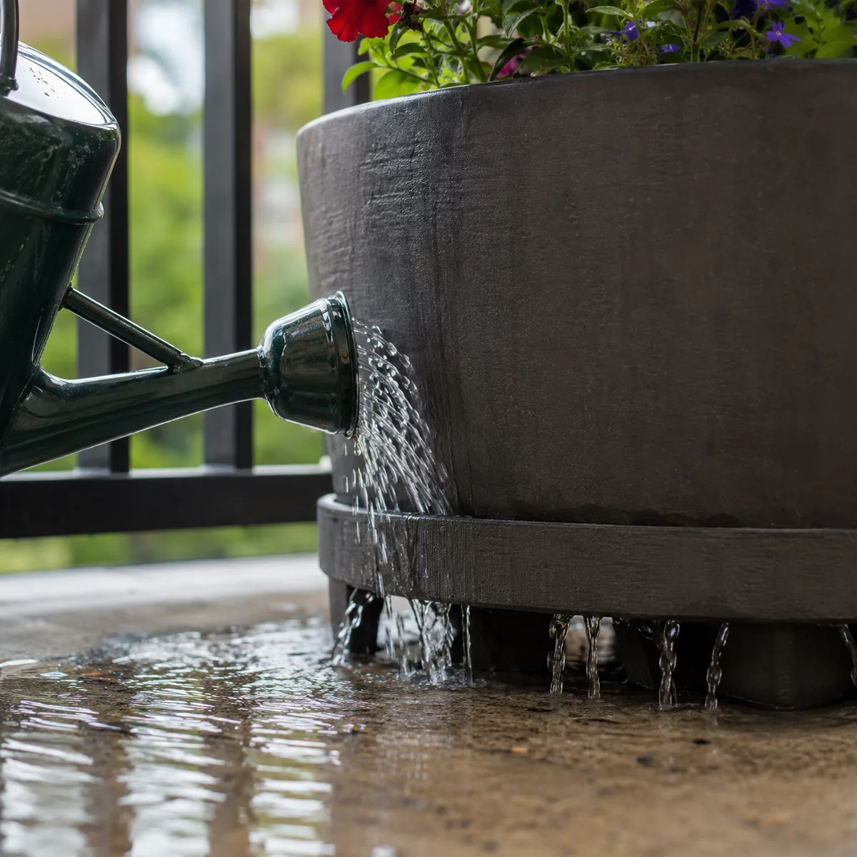 Sur un balcon, il ne pleut jamais dans les pots : vous êtes la seule pluie
